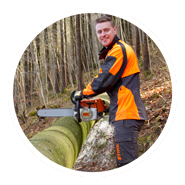 Christian Krieg sägt mit einer Stihl Motorsäge einen Baumstamm im eigenen Forst